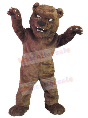 Bear mascot costume