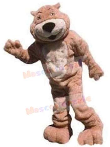 Bear mascot costume
