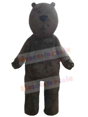 Bear mascot costume