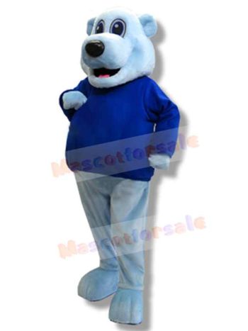 Bear mascot costume