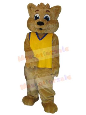 Bear mascot costume