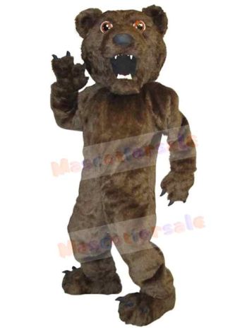 Bear mascot costume