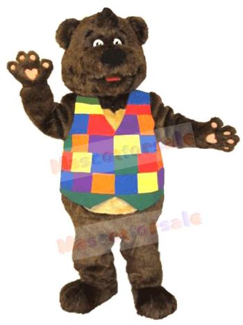 Bear mascot costume
