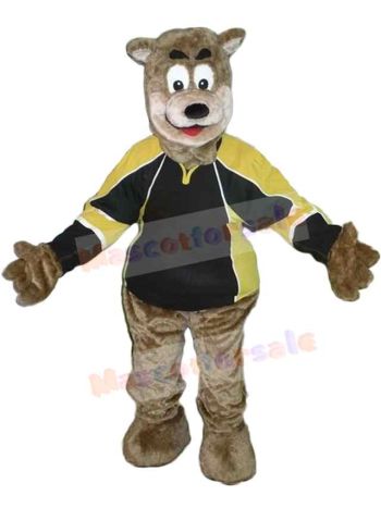 Bear mascot costume