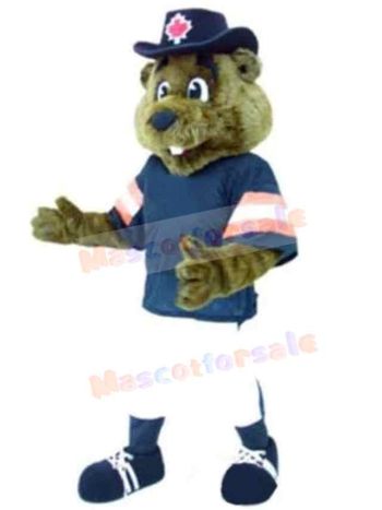 Bear mascot costume