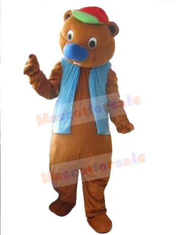 Bear mascot costume