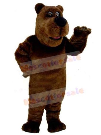 Bear mascot costume