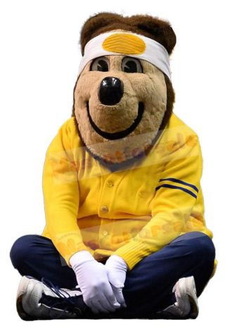 Bear mascot costume