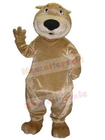 Bear mascot costume
