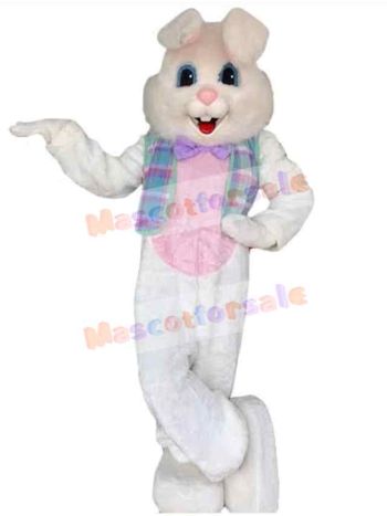 Easter Bunny Rabbit mascot costume