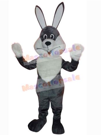 Easter Bunny Rabbit mascot costume
