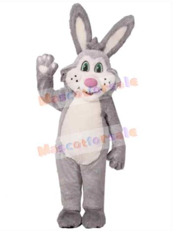Easter Bunny Rabbit mascot costume