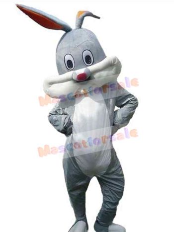 Easter Bunny Rabbit mascot costume