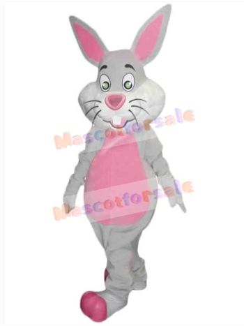 Easter Bunny Rabbit mascot costume