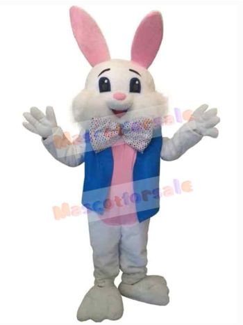 Easter Bunny Rabbit mascot costume