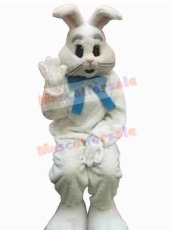 Easter Bunny Rabbit mascot costume