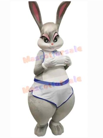 Easter Bunny Rabbit mascot costume
