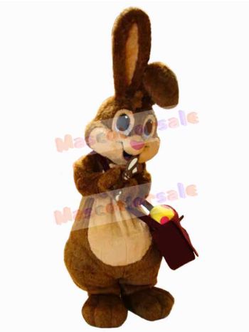 Easter Bunny Rabbit mascot costume
