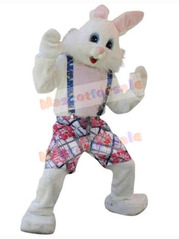 Easter Bunny Rabbit mascot costume