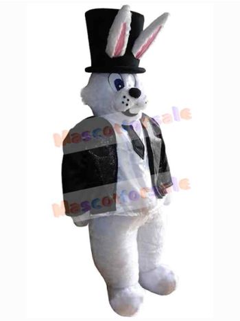 Easter Bunny Rabbit mascot costume