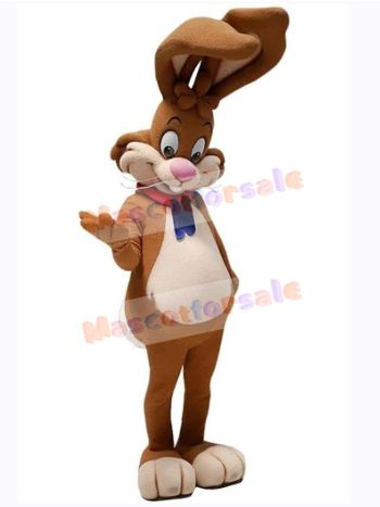 Easter Bunny Rabbit mascot costume