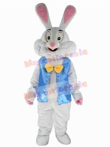 Easter Bunny Rabbit mascot costume