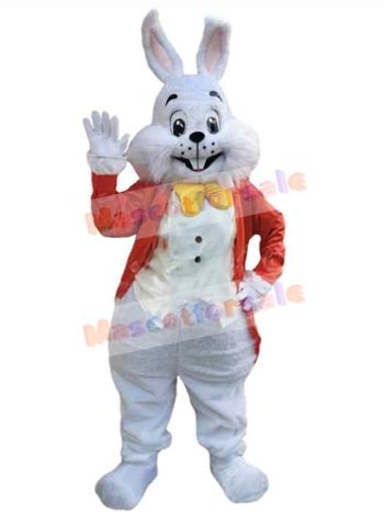 Easter Bunny Rabbit mascot costume