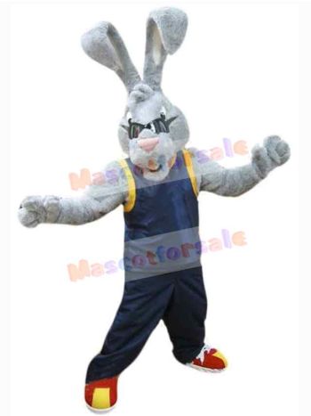Easter Bunny Rabbit mascot costume