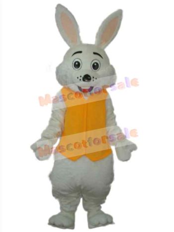 Easter Bunny Rabbit mascot costume