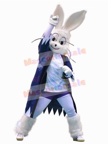 Easter Bunny Rabbit mascot costume