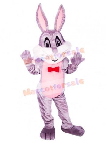 Easter Bunny Rabbit mascot costume