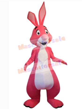 Easter Bunny Rabbit mascot costume