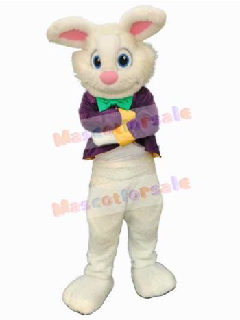 Easter Bunny Rabbit mascot costume