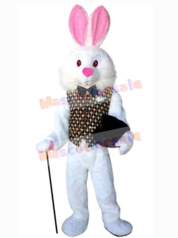Easter Bunny Rabbit mascot costume
