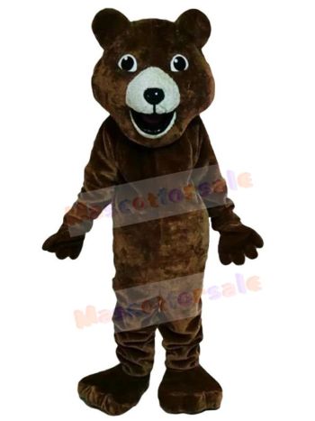 Bear mascot costume