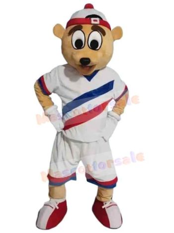 Bear mascot costume