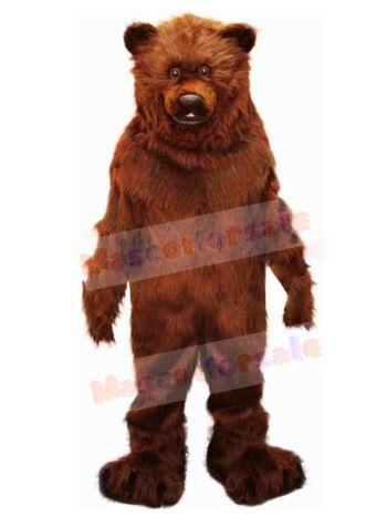 Bear mascot costume
