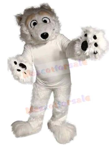 Bear mascot costume