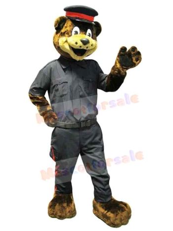 Bear mascot costume