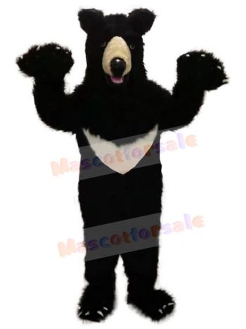Bear mascot costume
