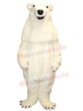 Bear mascot costume
