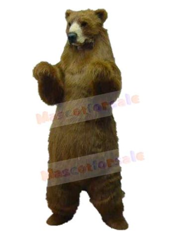 Bear mascot costume