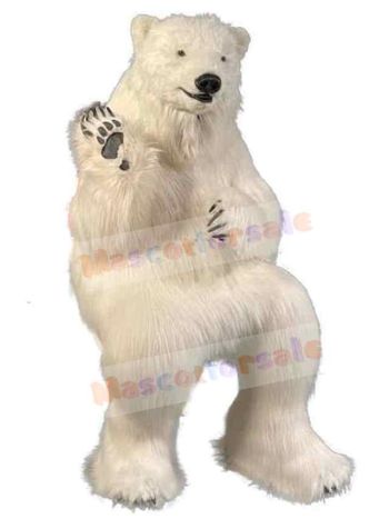 Bear mascot costume