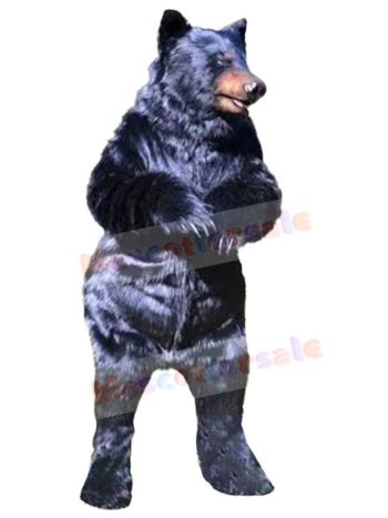 Bear mascot costume