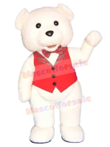 Bear mascot costume