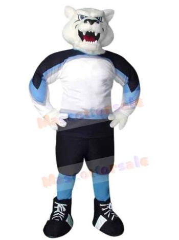 Bear mascot costume