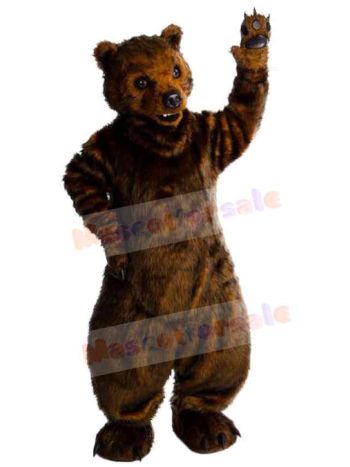 Bear mascot costume