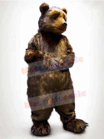Bear mascot costume