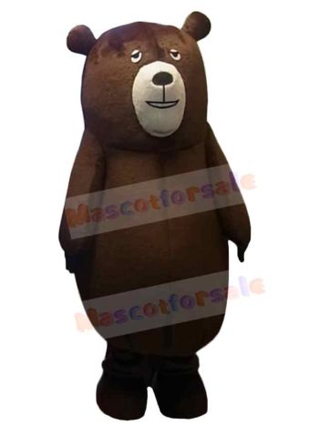 Bear mascot costume