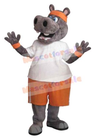 Hippo mascot costume